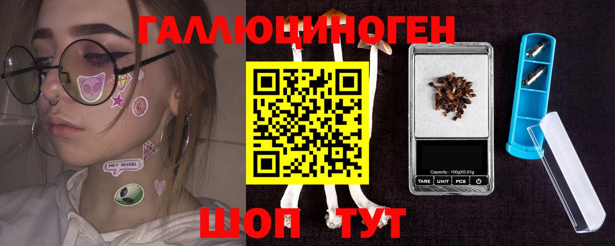 Псилоцибиновые грибы Cubensis Белореченск